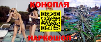 крисы Бузулук
