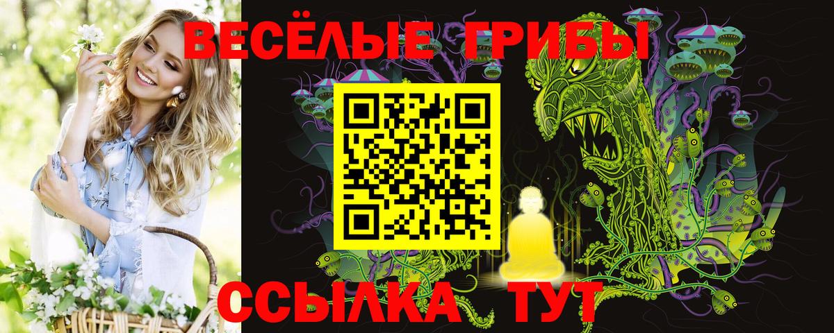 Галлюциногенные грибы Psilocybine cubensis Переславль-Залесский